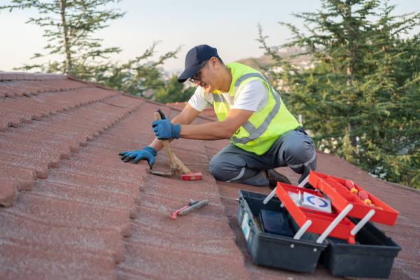Best Roof Maintenance Services  in Trenton, MO