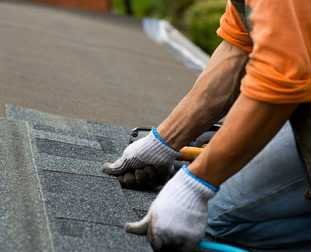 Best Local Roofing Companies  in Trenton, MO