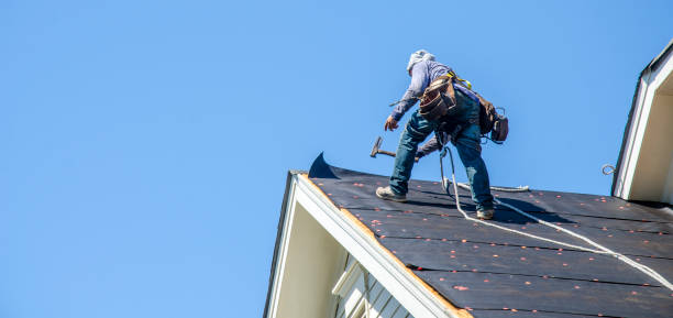 Best Commercial Roofing Services  in Trenton, MO